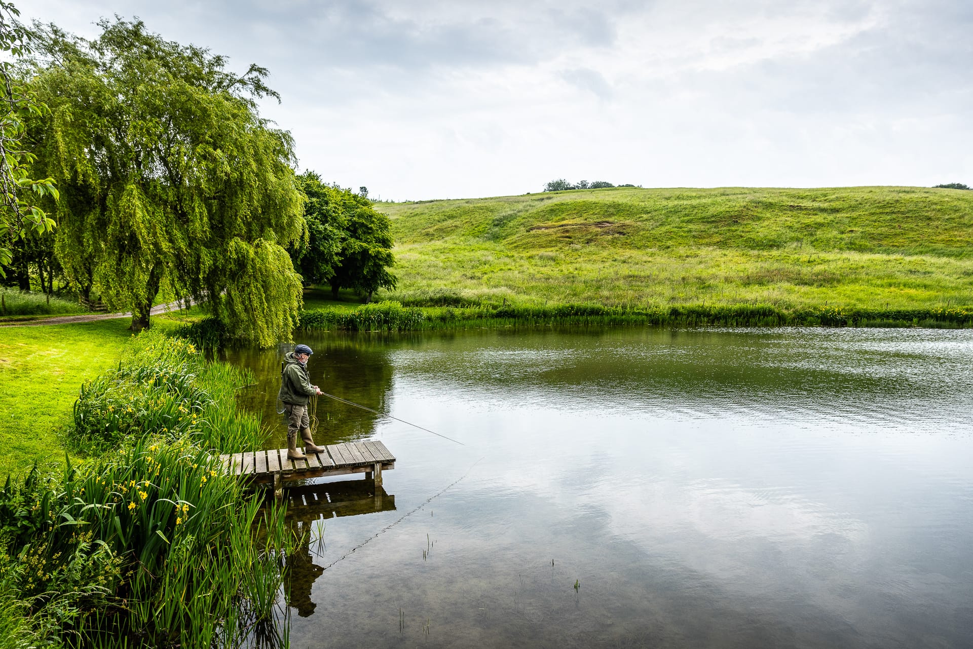 Man fishing from a fishing dock near a Weeping Willow