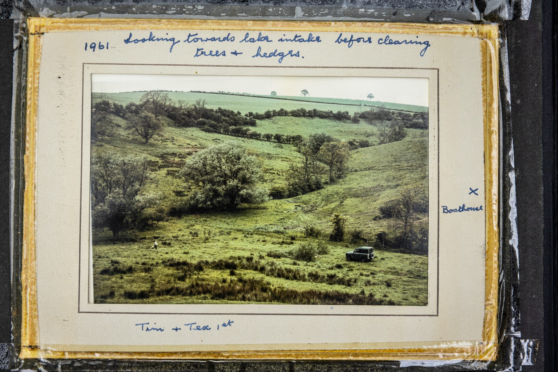Looking towards lake intake before cleaning trees & hedges