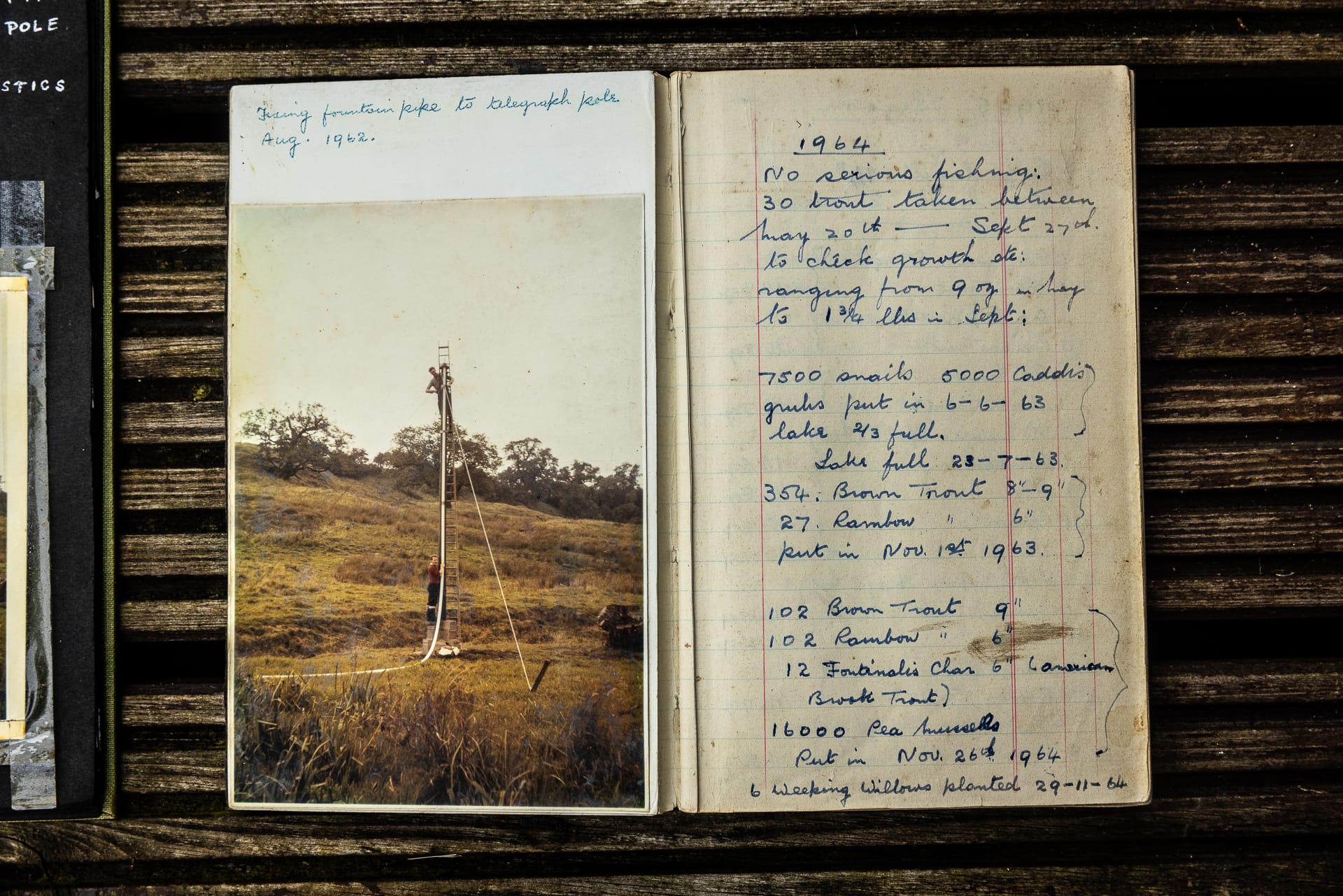 Inside page of the Fishing record book