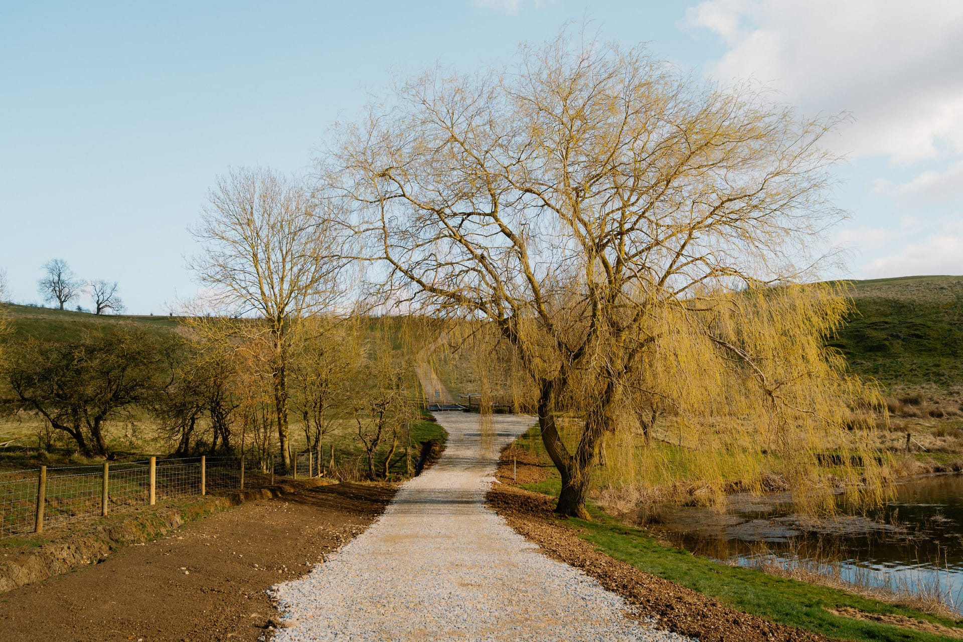 Stone track leading away from the Boat House under the Weeping Willow