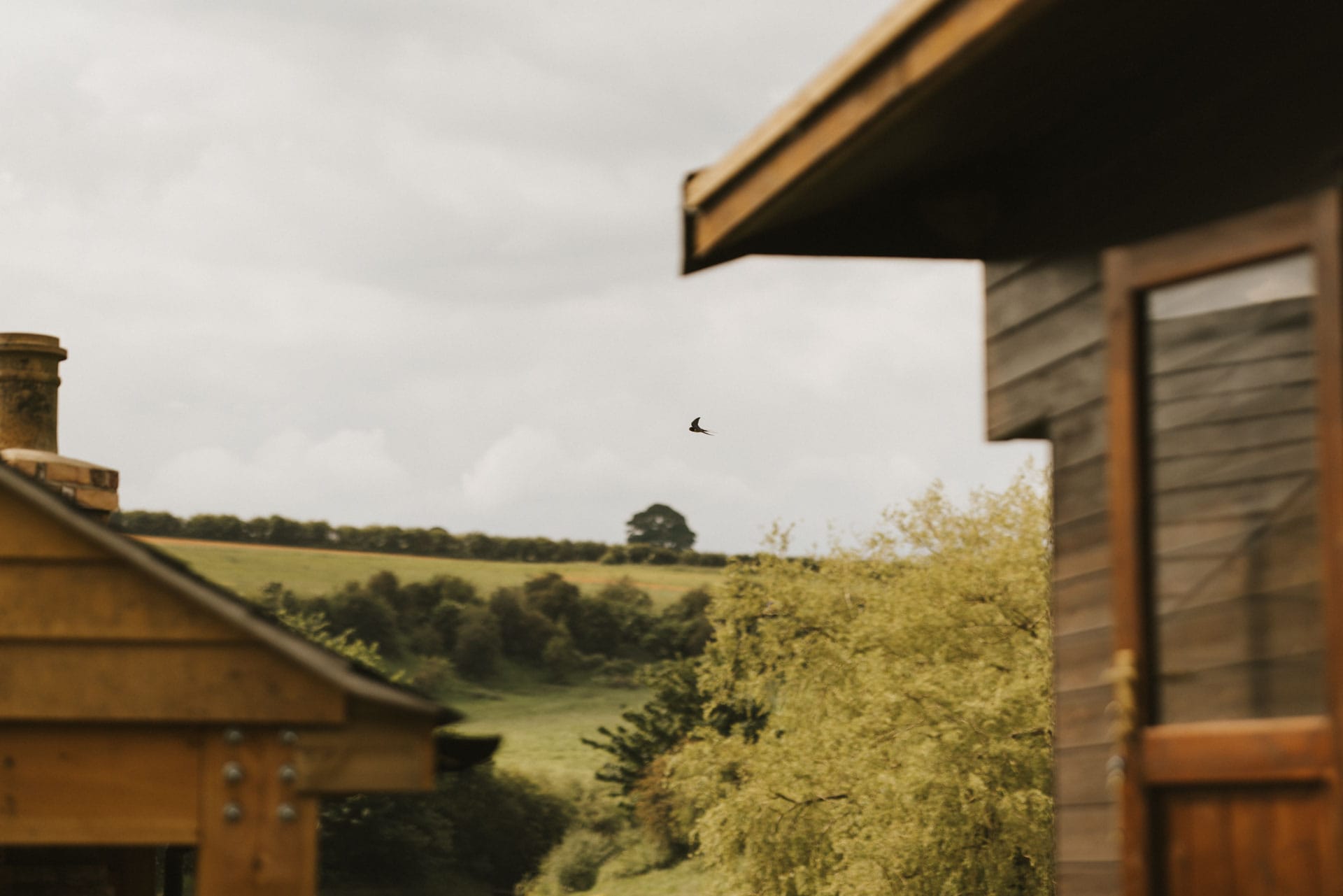Swallow flying around the Otby Boat House