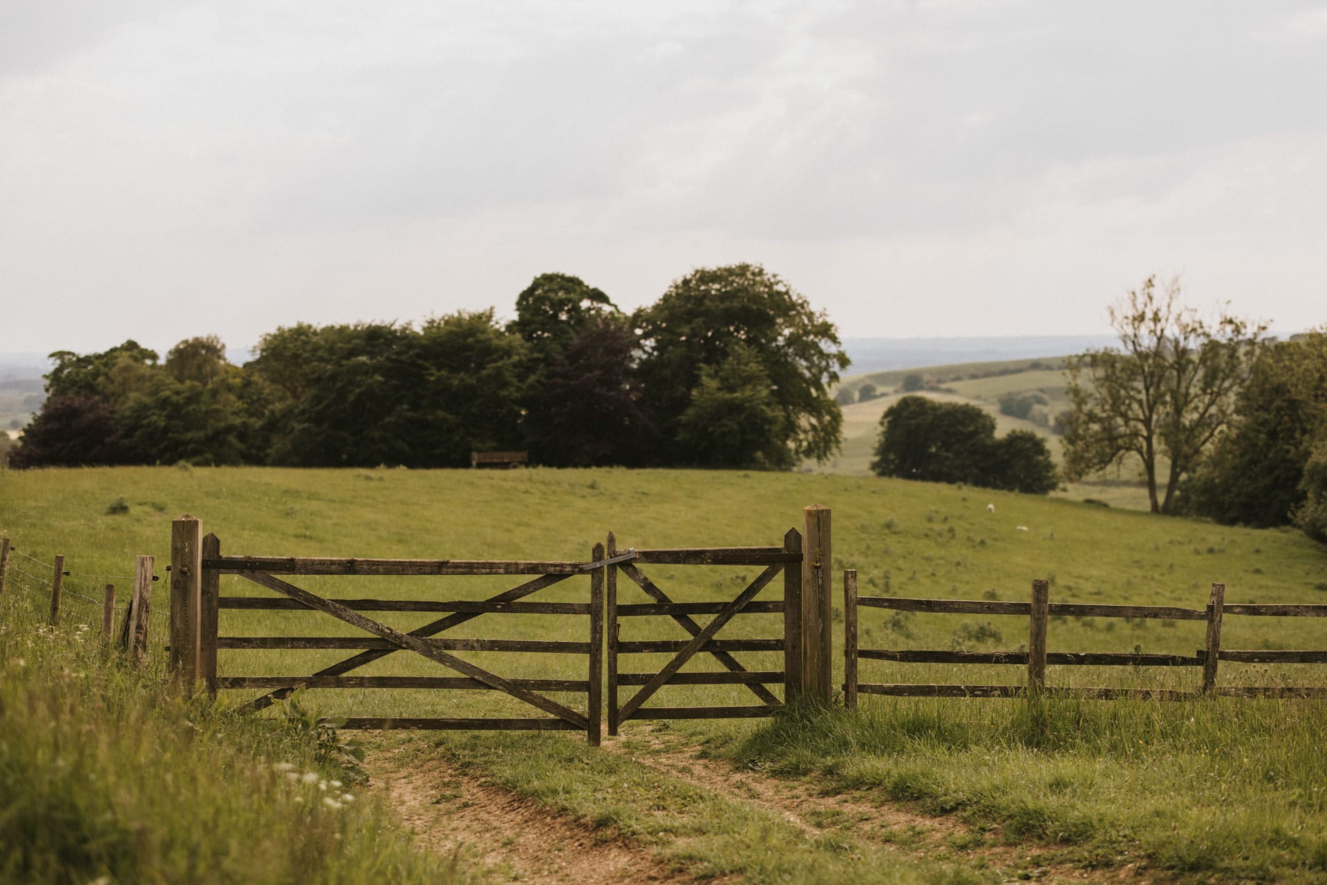Ambient photo of a field with a gate in the foreground